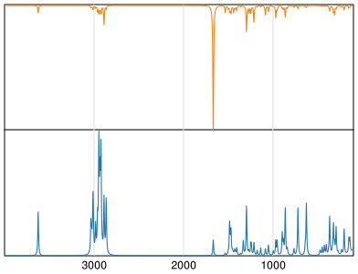 Calculated IR and Raman Spectra of Carnitine