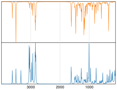 Calculated IR and Raman Spectra of Phenylephrine