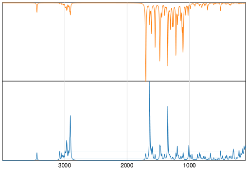 Calculated IR and Raman Spectra of Nitrendipine